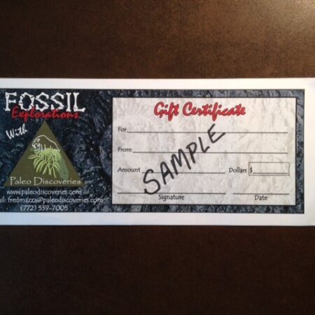 $25 Gift Certificate